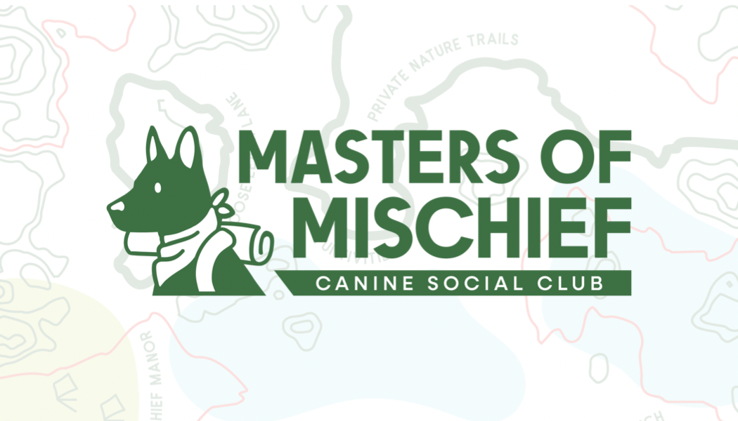 Masters of Mischief Canine Social Club